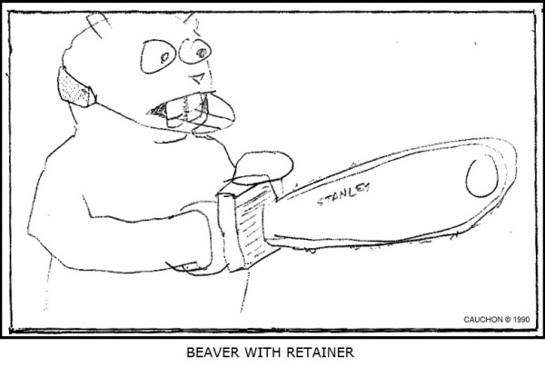 Beaver with Retainer (22Aug90)
