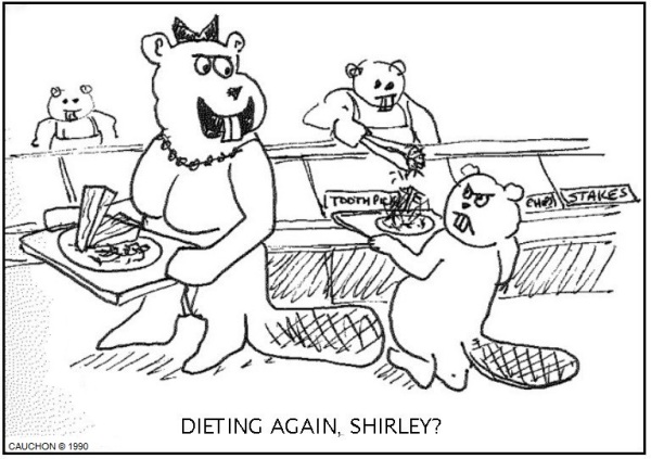 Dieting Again, Shirley